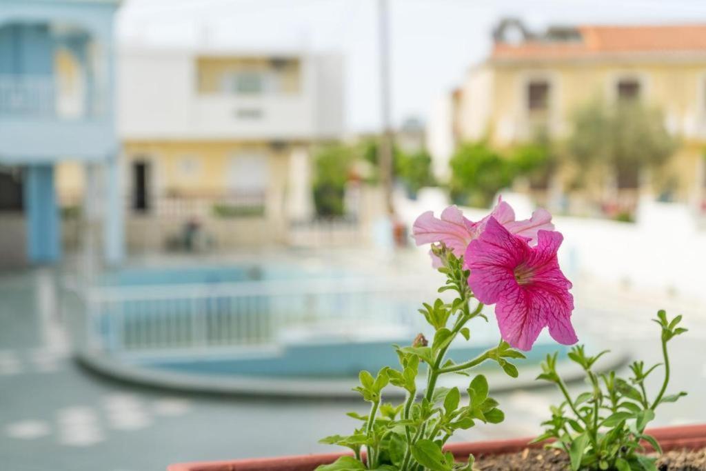 Anna'S Studios & Apartments ไซคิย์นธอสทาวน์ ภายนอก รูปภาพ